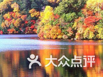 侏罗纪世界进化