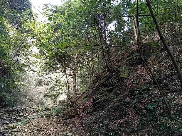 赣县区沙地镇:开展“迎新春·庆新年”文明集市活动
