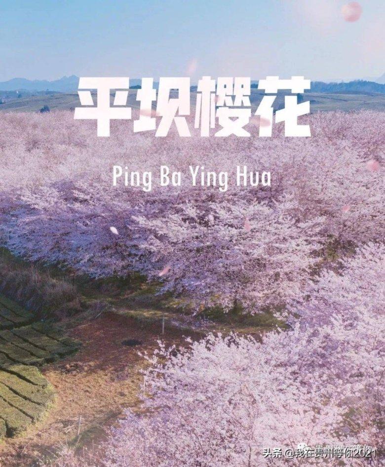2017年你最遗憾的一件事是什么？