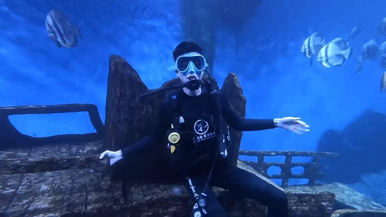 太阳浩劫