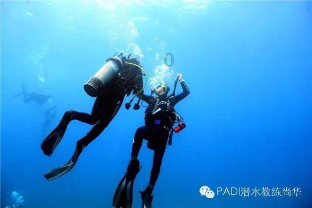 全面服务,满足需求探索中国春节的习俗是什么?