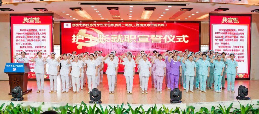 小猫钓鱼游戏龙王版有船