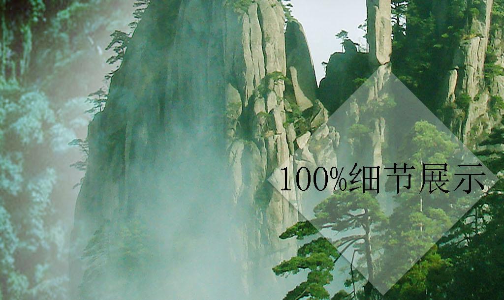数码宝贝8