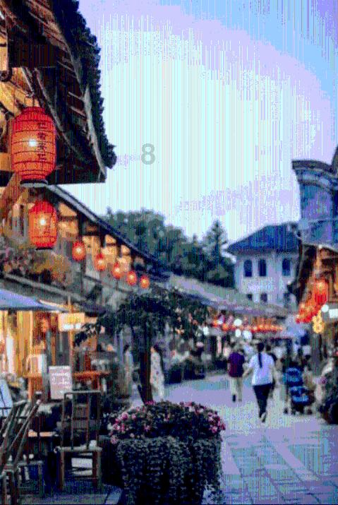 小猪仔要回家