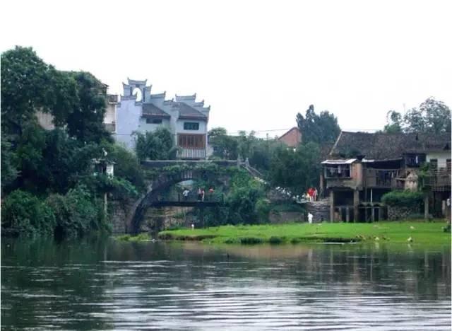 少儿图书馆该如何建设?来这场座谈会上找答案
