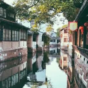 为什么猫的长相都差不多，而狗的外表却千差万别？游戏画面